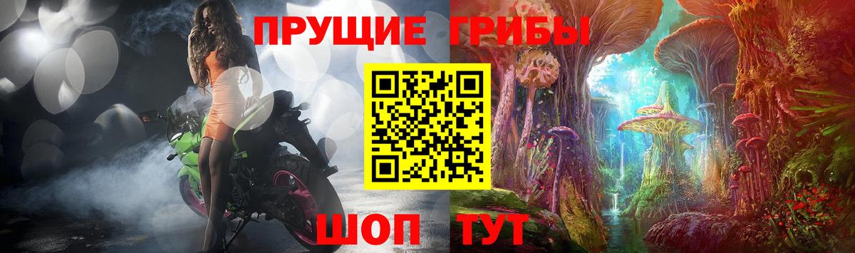 Галлюциногенные грибы Magic Shrooms  Псилоцибиновые грибы мухоморы  Вход с VPN  Знаменск 