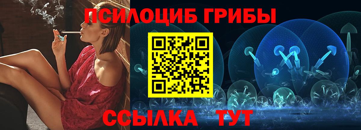 Псилоцибиновые грибы GOLDEN TEACHER Знаменск